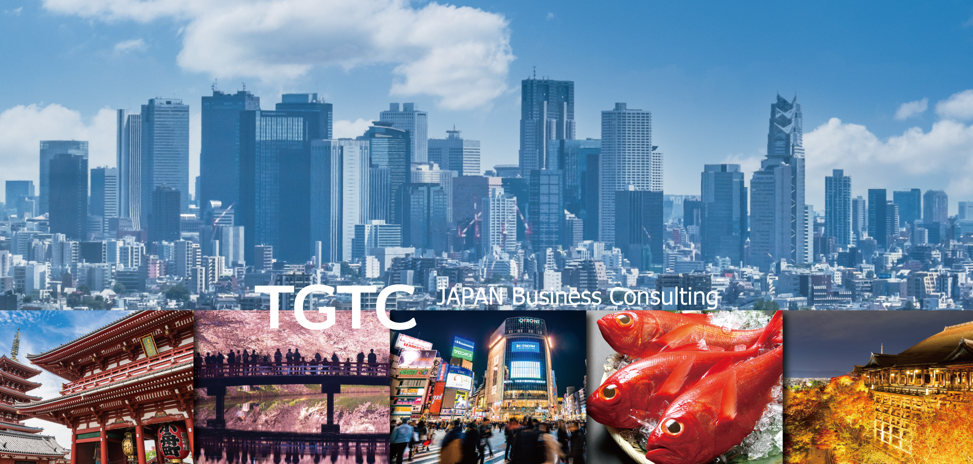 TGTC ภาษาไทย