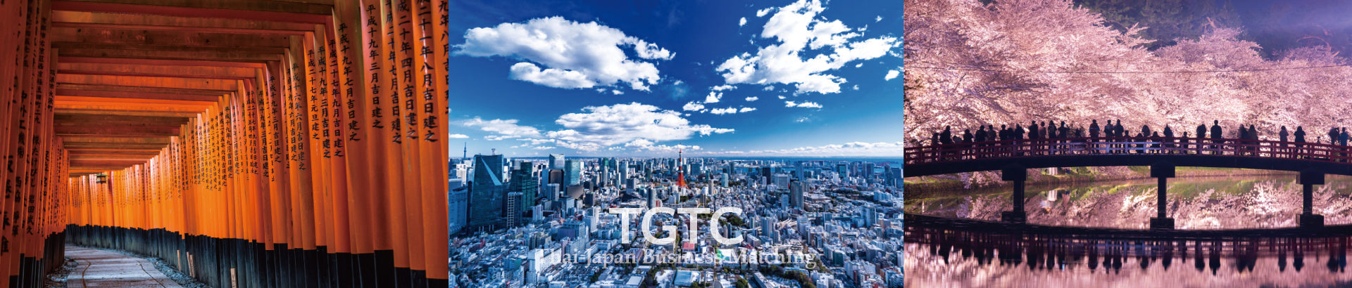 For Japanese company